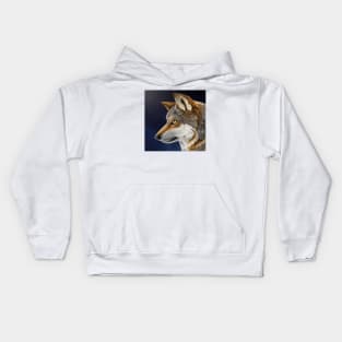 Moonlight Kids Hoodie